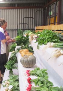 Loxton Show Veggies